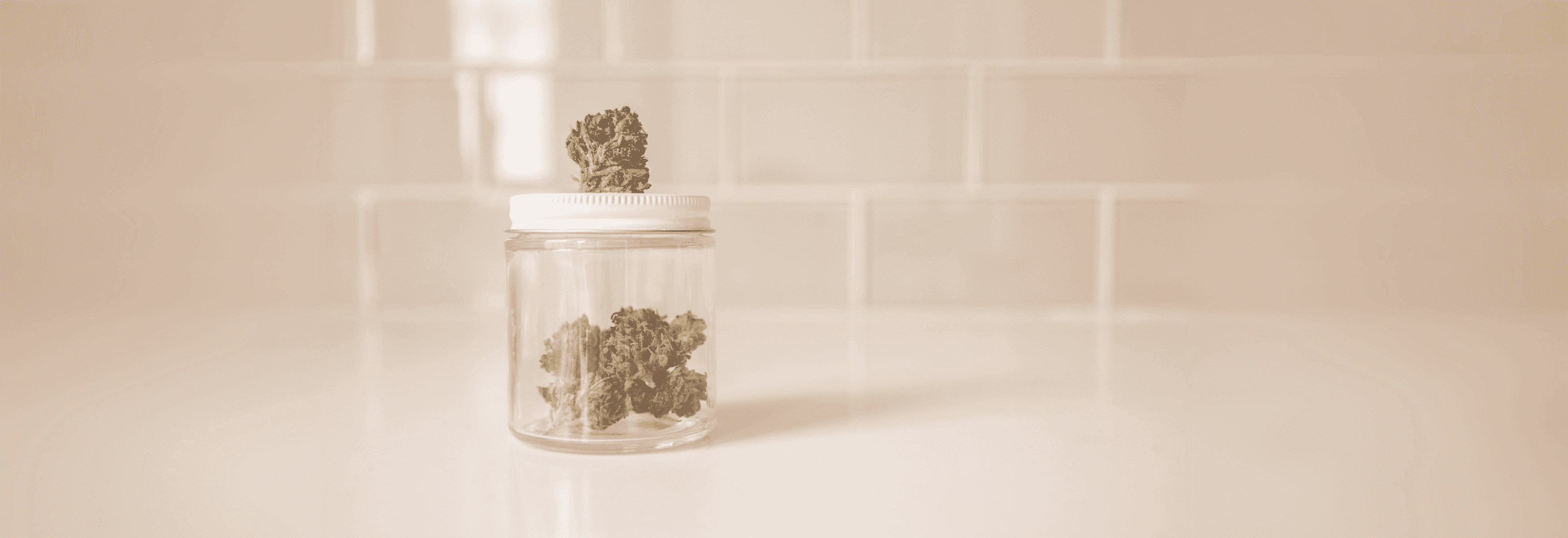 Behälter mit Cannabisblueten